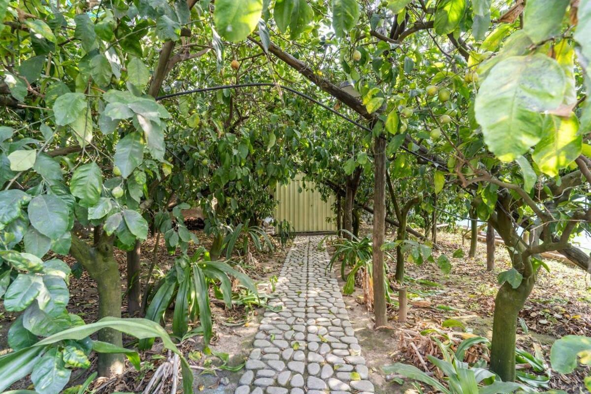 מסה לוברנסה Villa Mimosa Rustic Elegance Views & Pool מראה חיצוני תמונה